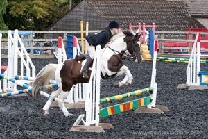 Class 4 - Fences 2'3 to 2'6